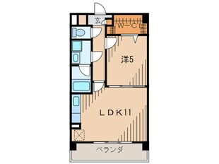 マ　メゾン金楽寺の物件間取画像